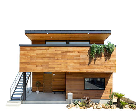 Sunny Track House